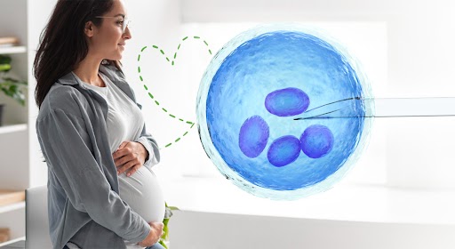 ivf-cost-in-india-top-hospitals-doctors